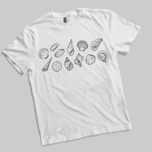Beach Sea Shells